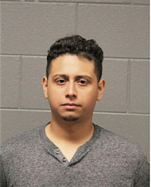 JOSE L LUNA, Cook County, Illinois