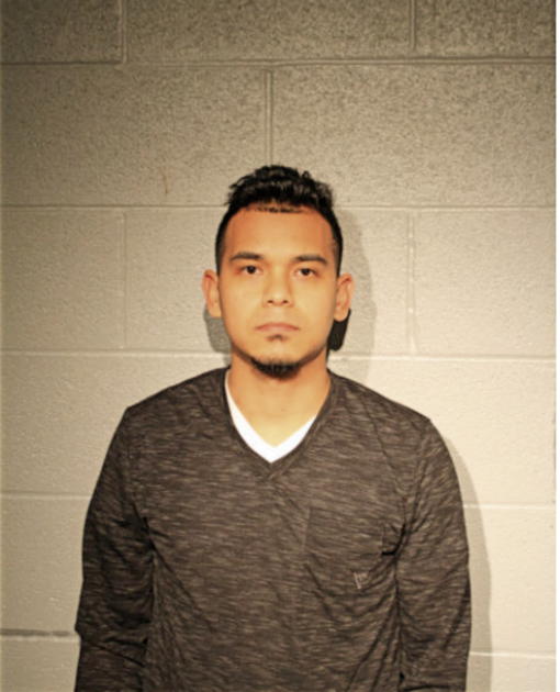 JOSE L MAMAHUA, Cook County, Illinois