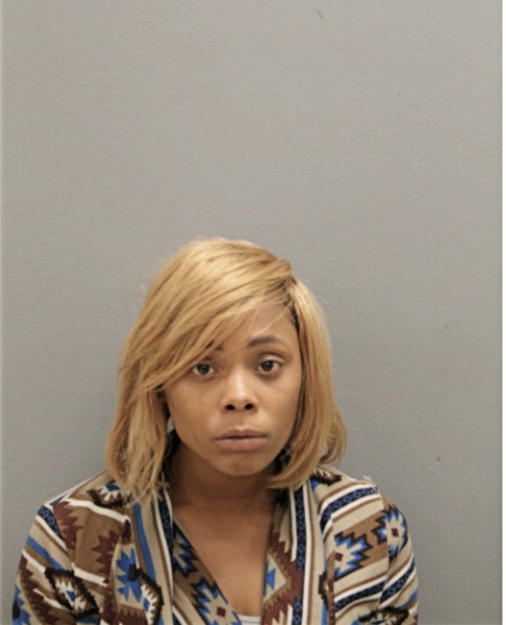 BRITTANY A MARTIN, Cook County, Illinois