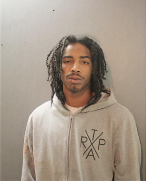 LENARD J MCKINNIS, Cook County, Illinois