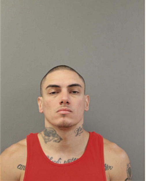 ANGEL L MENDEZ, Cook County, Illinois