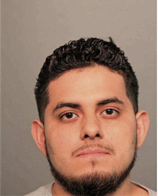 ALFREDO MENDOZA, Cook County, Illinois