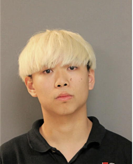 KAMING NG, Cook County, Illinois