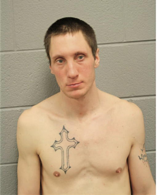 BRANDON L PIATKIEWICZ, Cook County, Illinois