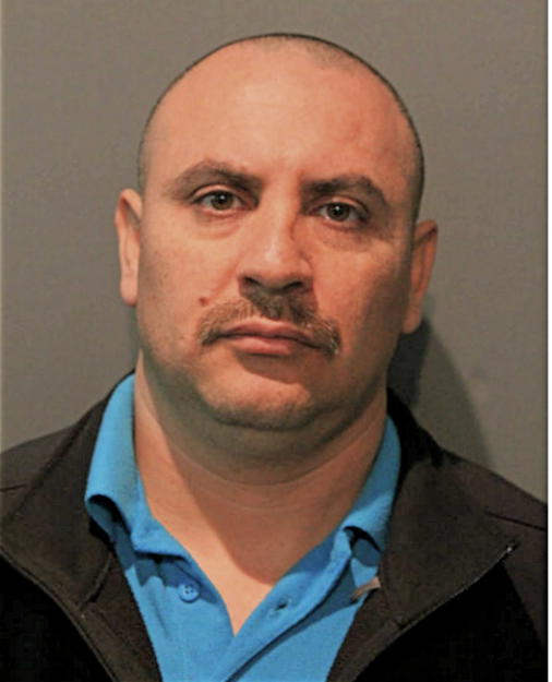RAUL C REVELES, Cook County, Illinois