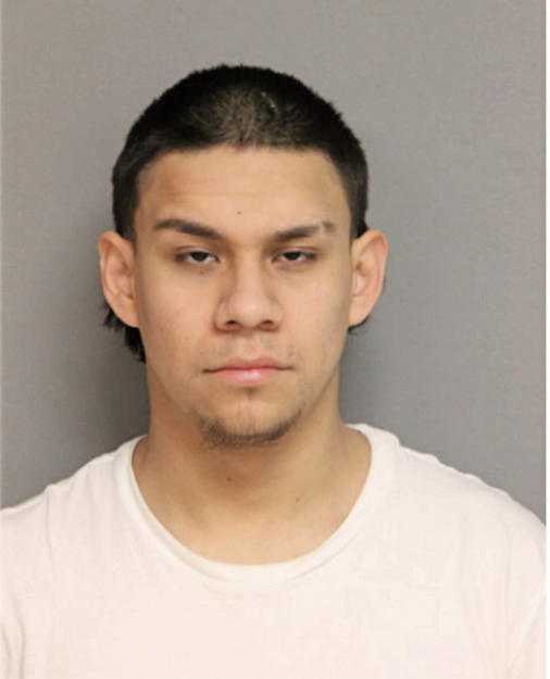 IVAN REYES, Cook County, Illinois