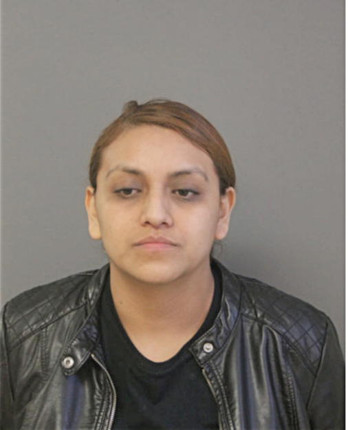 ERIKA ROMAN, Cook County, Illinois