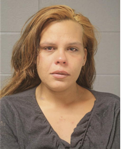 ERICA A ROSALES, Cook County, Illinois