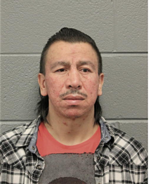 GUADALUPE SALINAS, Cook County, Illinois