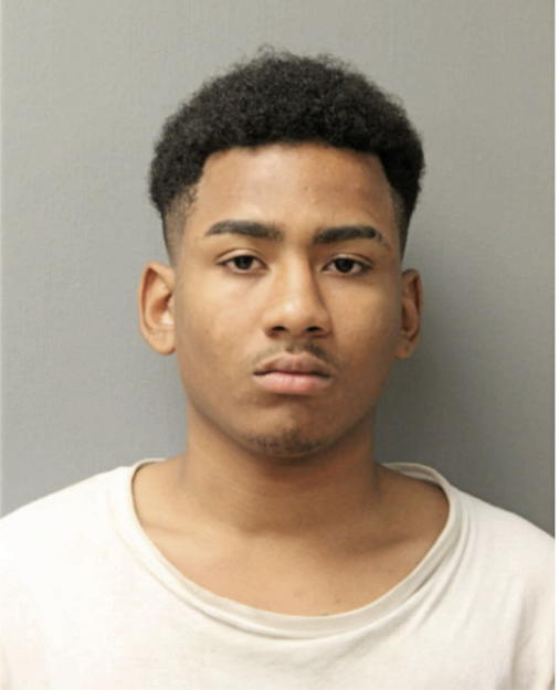 CAMREN F STYLES, Cook County, Illinois