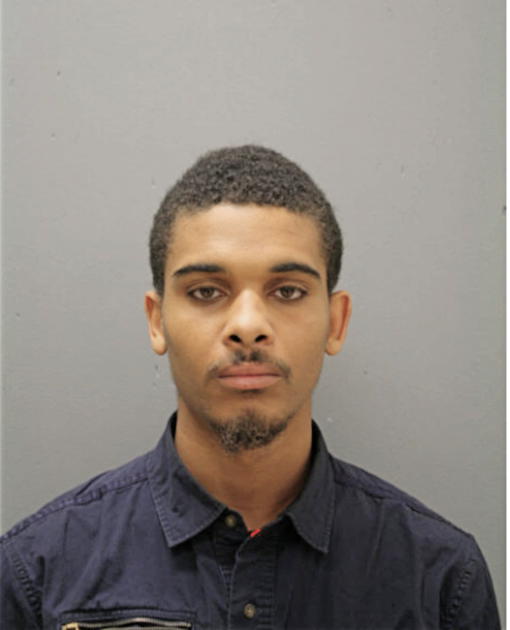 JULIUS M SULLIVAN, Cook County, Illinois