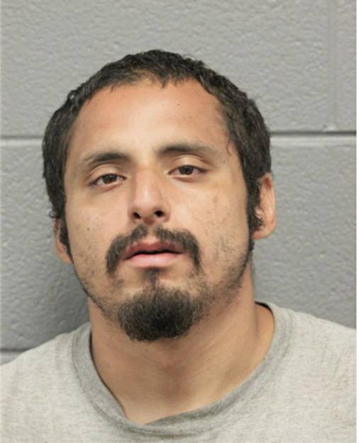 FRANCISCO J VEGA, Cook County, Illinois