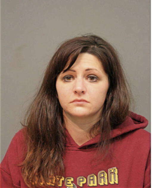 LINDSAY M VIOLANTI, Cook County, Illinois