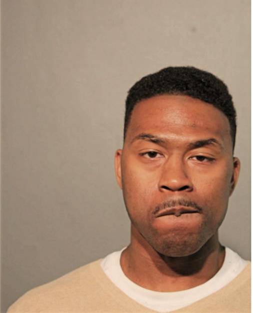 DEANDRE E WILLIAMS, Cook County, Illinois