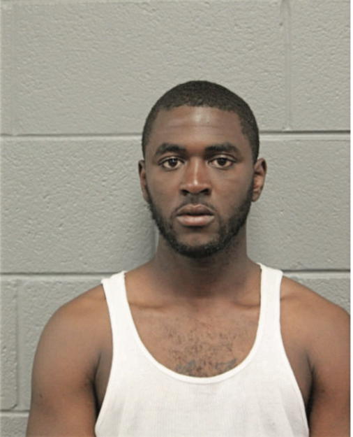 NICHOLAS T WILLIAMS, Cook County, Illinois