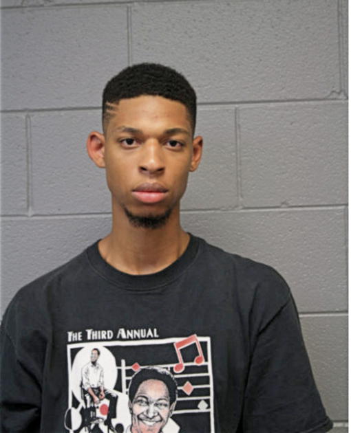 DERRICK C WOODS, Cook County, Illinois