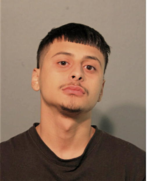 MICHAEL A RONALD, Cook County, Illinois
