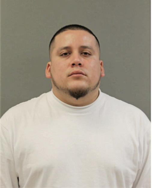 ALEXANDRO ALANIZ, Cook County, Illinois
