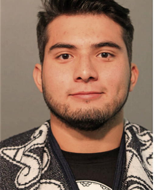 JOSE MARIA ALVAREZ-PEREZ, Cook County, Illinois