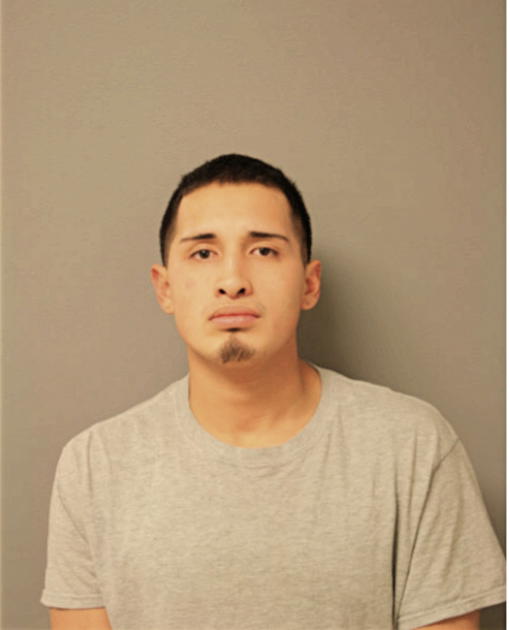 IVAN ANDRADE, Cook County, Illinois