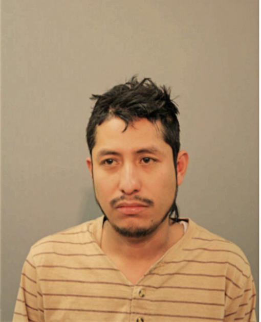AVELARDO AVELAR, Cook County, Illinois
