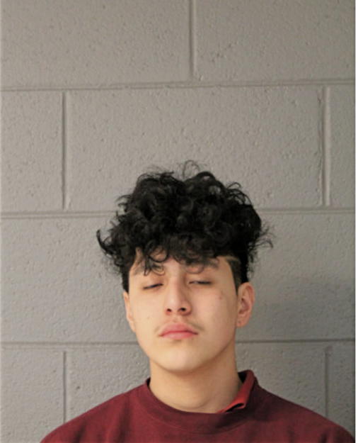 MOISES AVILES, Cook County, Illinois