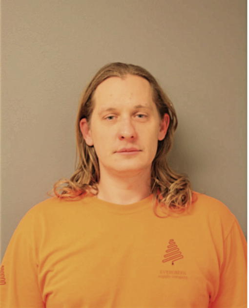 BRIAN A BIRNBAUM, Cook County, Illinois
