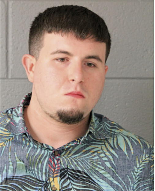 DANIEL CARILLO, Cook County, Illinois