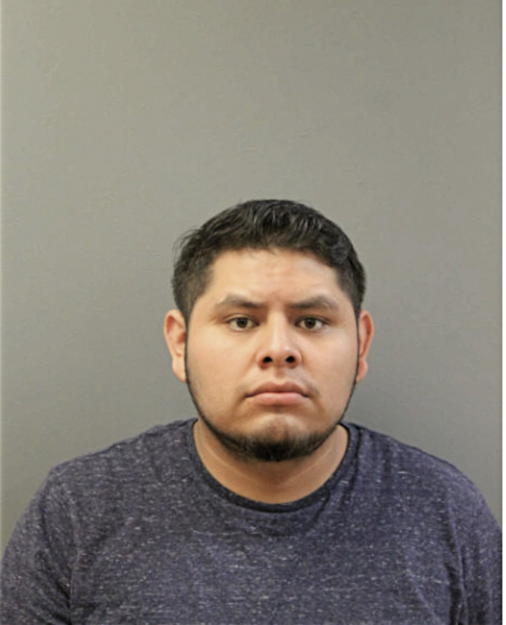 BENIGNO DAMACIO-MOJICA, Cook County, Illinois