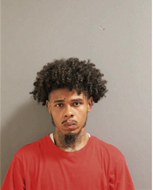CHRISTOPHER D DAVIS, Cook County, Illinois