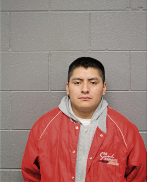 ANGEL FERNANDEZ, Cook County, Illinois