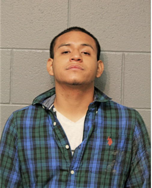 HECTOR FLORES, Cook County, Illinois