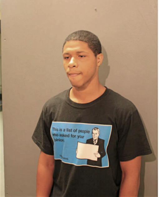 DARION L GARNER, Cook County, Illinois