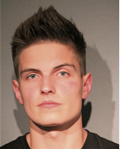 PRZEMYSLAW GODLEWSKI, Cook County, Illinois