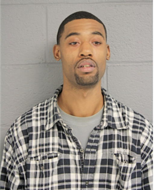 DENNIS A GOODMAN, Cook County, Illinois