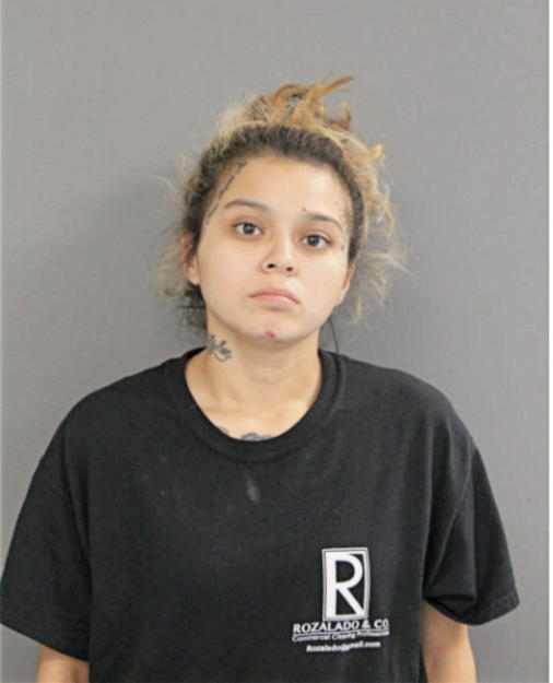 YESENIA A GUERRERO, Cook County, Illinois