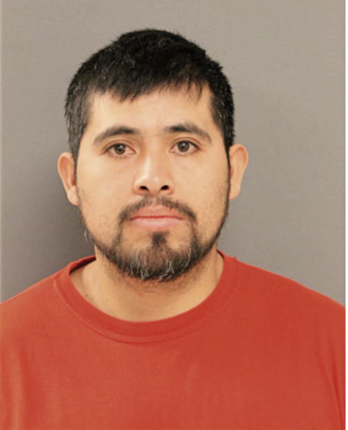ENMER J ESTRADA, Cook County, Illinois
