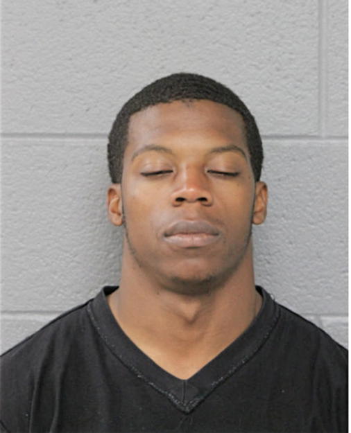 BRIAN L JONES, Cook County, Illinois