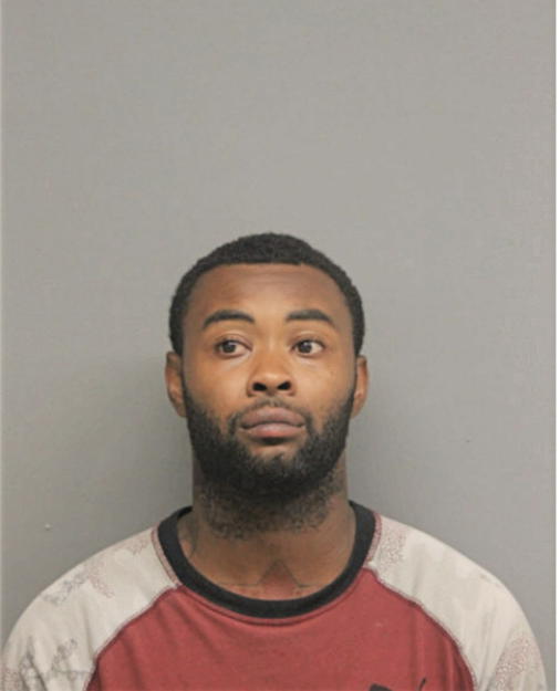 YANNICK E LANGSTON, Cook County, Illinois
