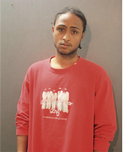 MICHAEL MAYO, Cook County, Illinois