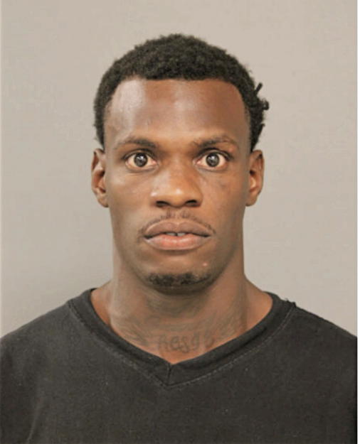 TIMOTHY T MCCLINTON, Cook County, Illinois