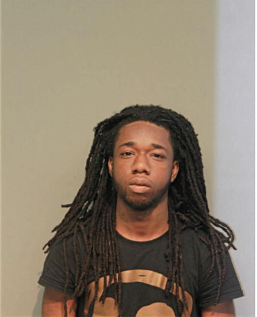 DARNELL J MCGEE, Cook County, Illinois