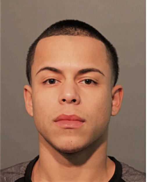 ALVIN G MENDEZ, Cook County, Illinois