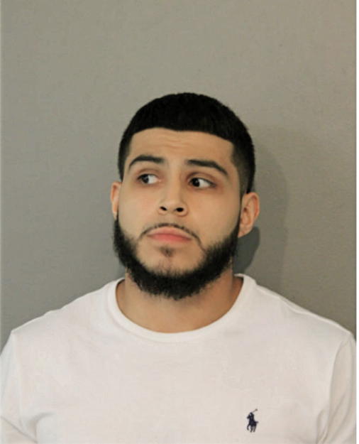 HECTOR MENDOZA, Cook County, Illinois