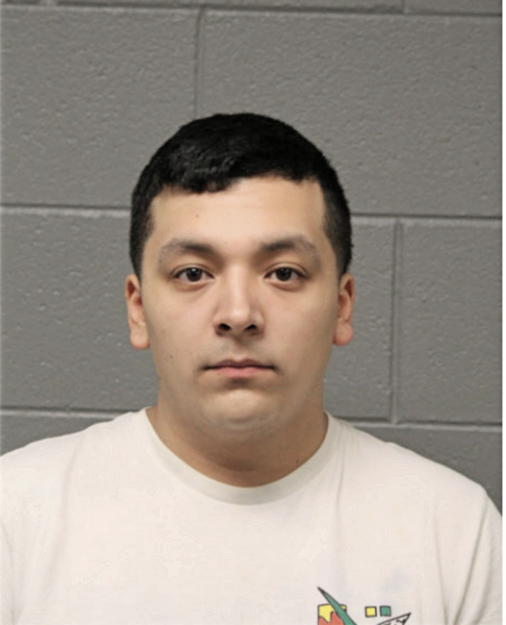 CHRISTIAN E RAMIREZ, Cook County, Illinois