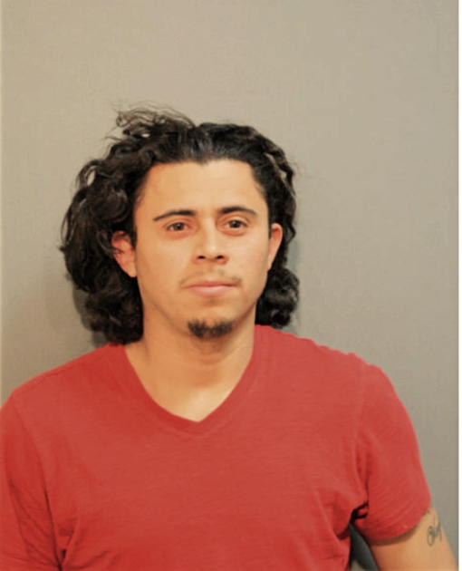 SANTOS ARNULFO SANCHEZ ALVAREZ, Cook County, Illinois