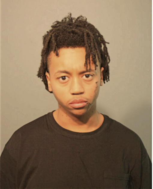 MATTHEW W SIMMONS, Cook County, Illinois