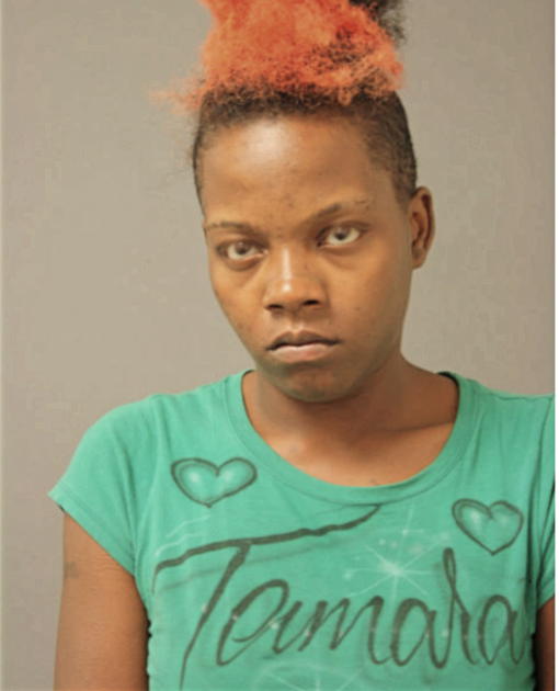 TAMARA C STEVENSON, Cook County, Illinois