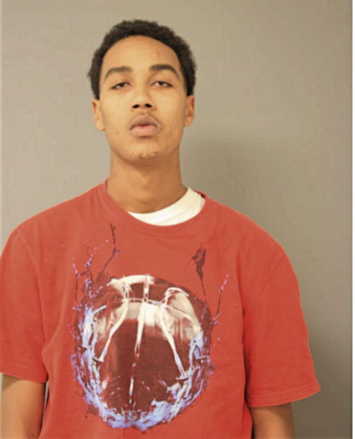 TONY G STIGER, Cook County, Illinois