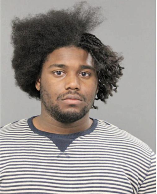 CHRISTOPHER T WATTS, Cook County, Illinois